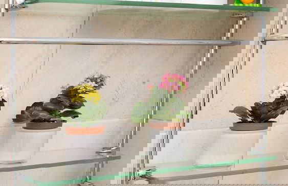 Apartments Captain - Photo 27