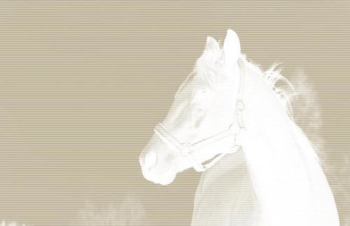 Art Apartament Puszczykowo - Foto 48