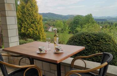 Jaworowy Stok z widokiem na góry i ogrodem - Foto 42