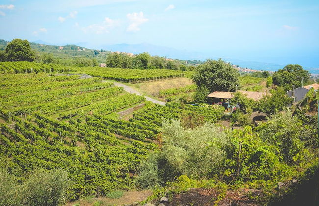 Le Case del Merlo - Foto 39