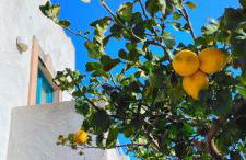 Piccolo Principe Appartments-Superior Class & Pool Residence - Foto 57