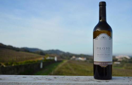 Quinta do Piloto - Foto 44