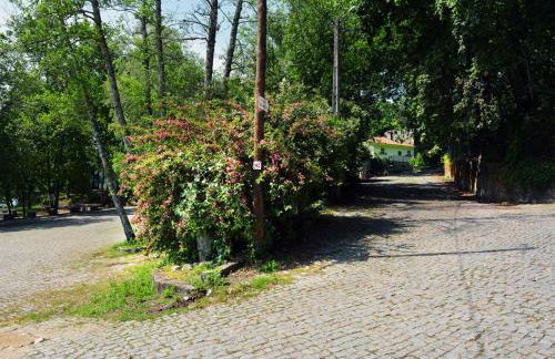 Casa de Travassos - Foto 65