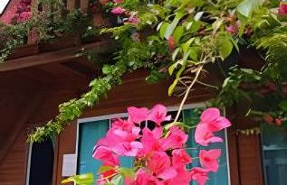 Chalé Primavera Rosa com piscina - Foto 9
