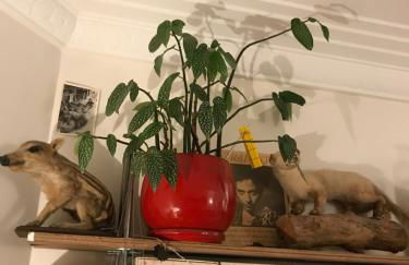 Le Nid D'Aigle - Foto 21