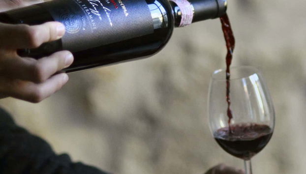 Dégustation de vin Cantina Mazzarosa