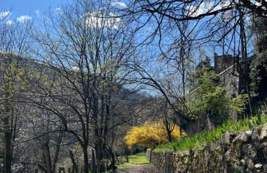 TABI APPART ,MODERN CHIC vs FREE PARKING,WIFI,DRAPS - Foto 69