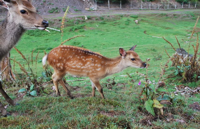 Gruppenfreundliche Villa in Liesen - Foto 16