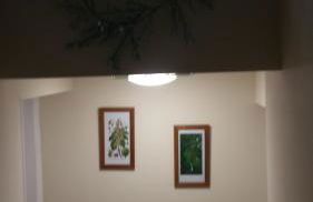 The Saracens Head THE CONKERA - Foto 22