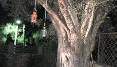 Aria Apartments - Foto 3, Garden