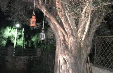 Aria Apartments - Foto 3