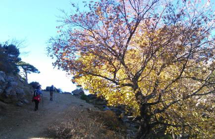 Apartamentos entreRíos - Foto 22