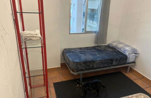 San Vicente - Foto 3