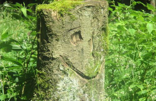 Ferienhaus "Am Gehre" - Foto 48