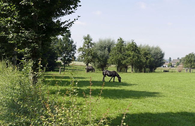 Located Near Maastricht Towards the Belgium Border - Photo 65