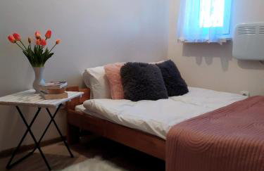 Garden House nad jeziorem Szelment - Foto 52