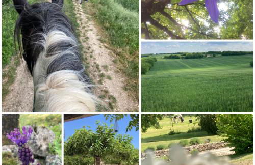 Les fontanelles du quercy blanc - Foto 7
