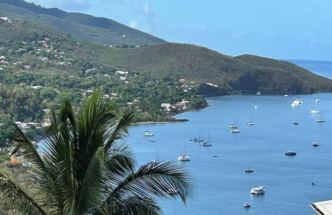Hotel Gîtes Couleur Caraïbes - Photo 41