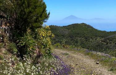Casa La Sabina - Luxury Villa On The Balcony of The Atlantic - Minimum Period 7 Days - Foto 40