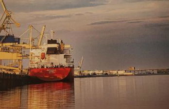 FeWo Küste - Photo 4