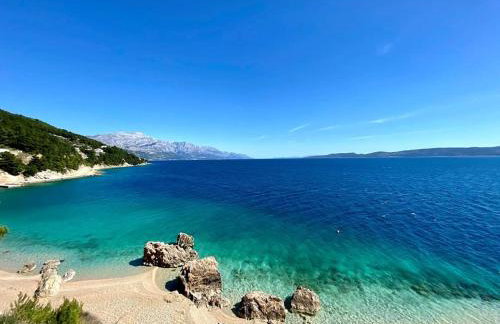 Waterview Apartments - Koru Apartment and pool - Photo 49