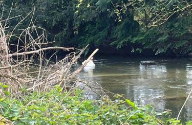 Nightingale Camp private Glamping with hot tub - Foto 13