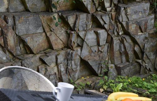 Cosy Cottage overlooking the Teifi Gorge - Foto 6