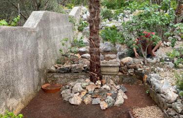 Apartments Ćosić - Foto 34