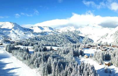 studio cabine Praz de Lys - Foto 46