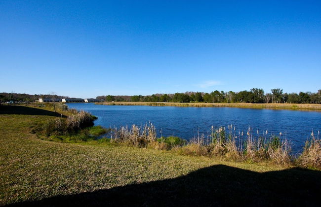 2633 Trafalgar Village - Photo 63