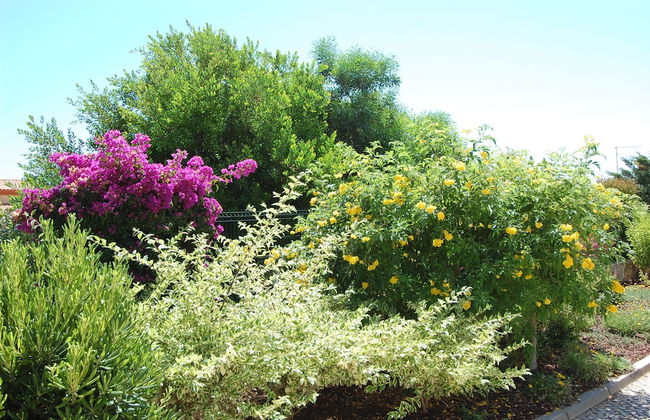 Presa de Moura - Foto 51