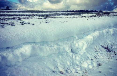 Apartment Gästehaus Siebert by Interhome - Foto 26