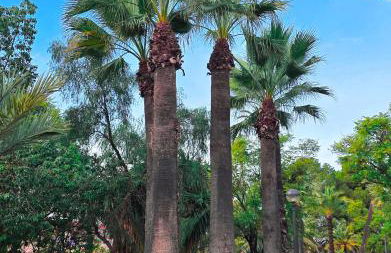 Apartment La Siesta - Foto 31