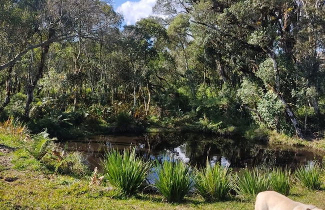 Recanto Vista Alegre - Rancho Queimado - Photo 27