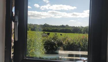 Cattle Shed Cottage - Foto 5, Garden view