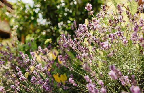 Appartementhaus Achmannhof - Foto 8