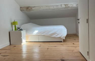 Appartement duplex centre historique - Foto 6