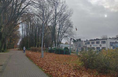 Apartament DELFIN - Photo 56