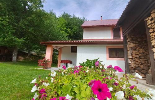 Holiday House Trnovac - Photo 1