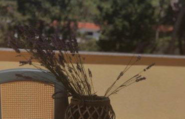 My Oasis - Foto 8