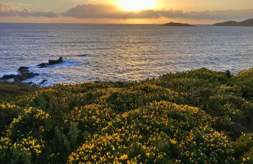 Serendipity - Foto 33