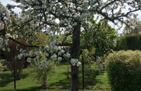 Dom Wakacyjny JM - Foto 9