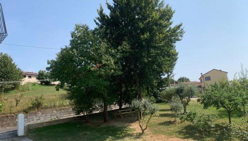 Al frutteto - Foto 3