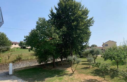 Al frutteto - Foto 3