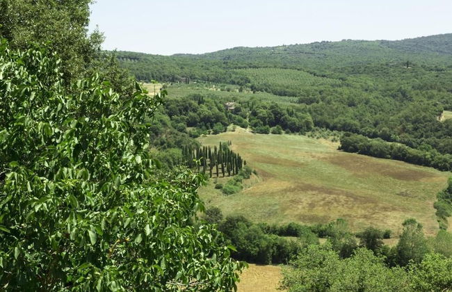 Casale degli Ulivi - Photo 45