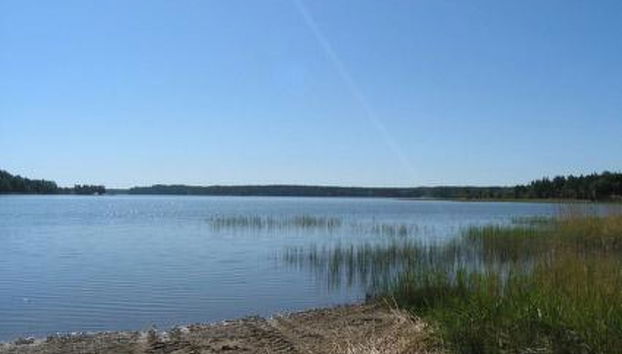 Metsämarja - Foto 4, Inside other