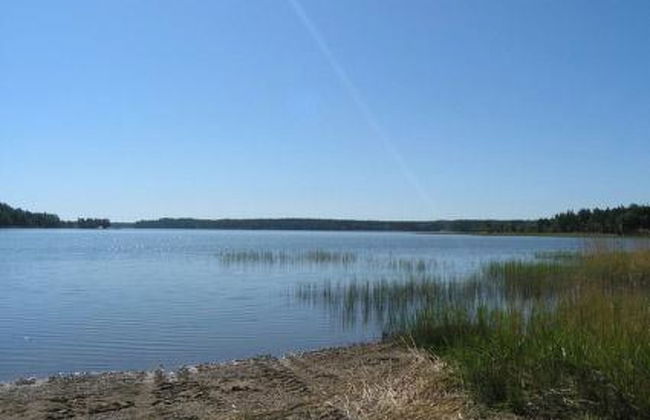 Metsämarja - Foto 4