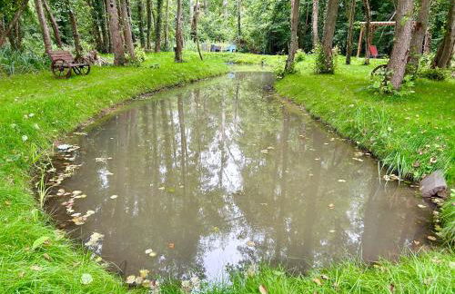 Le relais du Château - Foto 29