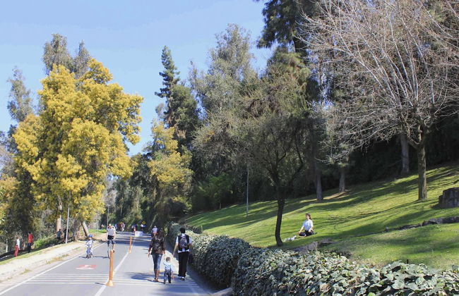 Amistar Apartments - Foto 51