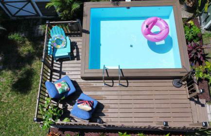 Tampa Jungalow- Pool Oasis - Foto 1